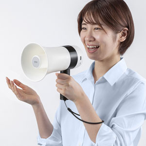 MM-SPAMP13の画像