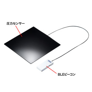 SNC-CS3-BLEGY