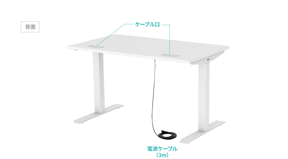 背面